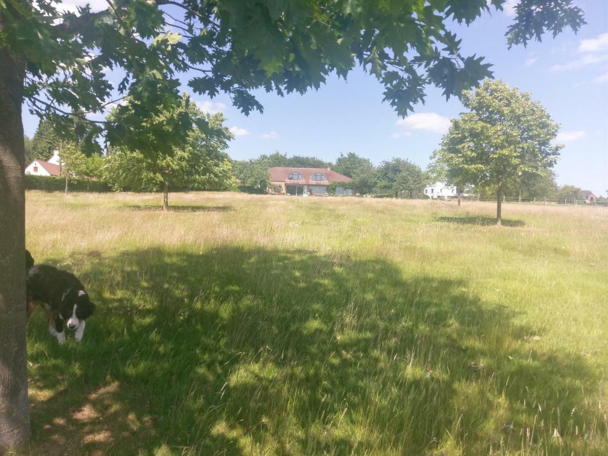 La Petite Bruyere De Bed & Breakfast Ronse